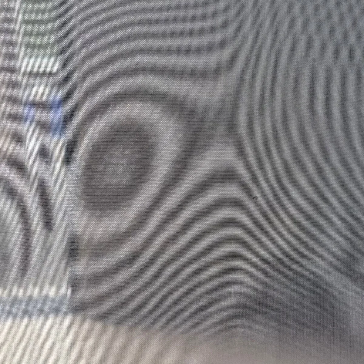 Tela Bruma Gris a contraluz